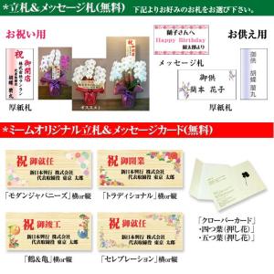 敬老の日 胡蝶蘭 ギフト 大輪 白 7本立 7...の詳細画像1