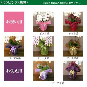 敬老の日 胡蝶蘭 ギフト 大輪 白 7本立 7...の詳細画像2