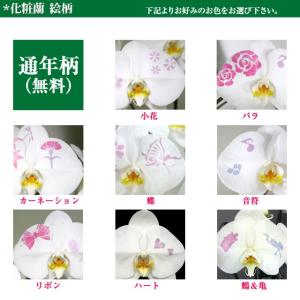 お歳暮 化粧蘭 胡蝶蘭 ギフト 大輪 [春柄]...の詳細画像5