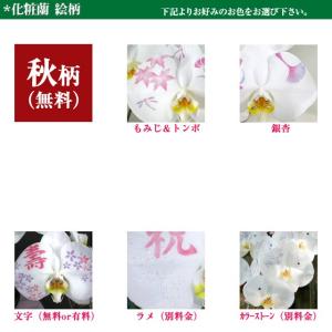 お中元 化粧蘭 胡蝶蘭 ギフト 大輪 [秋柄]...の詳細画像5