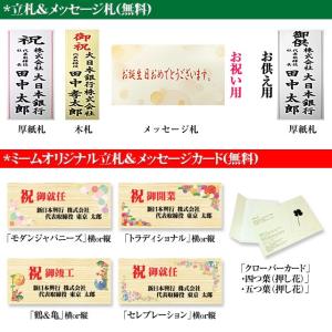 敬老の日 胡蝶蘭 ギフト 大輪 白・ピンク・リ...の詳細画像2