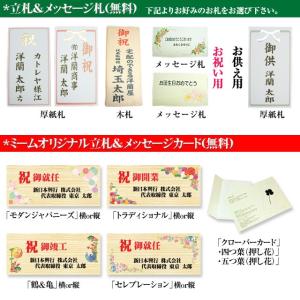お中元 胡蝶蘭 ギフト 大輪 白・ピンク・リッ...の詳細画像2