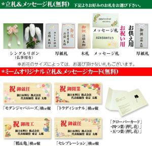 お中元 胡蝶蘭 ギフト 大輪 白・ピンク・リッ...の詳細画像1