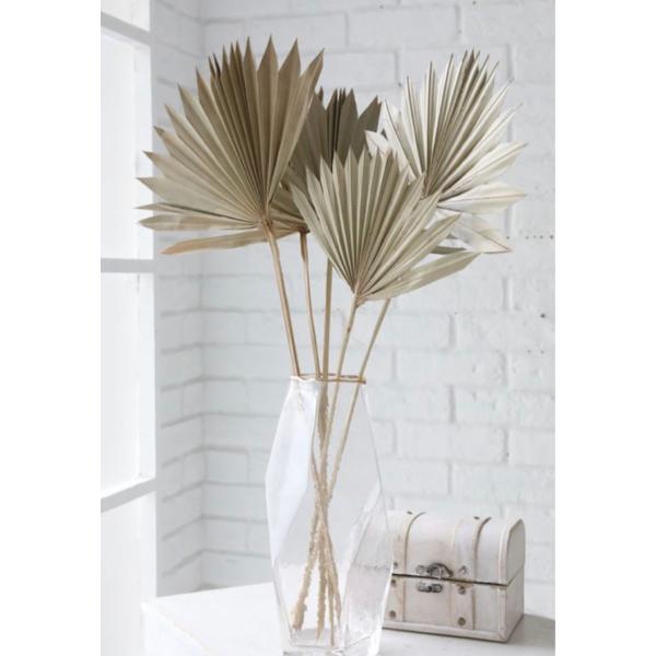 パームサンリーフ　5本セット