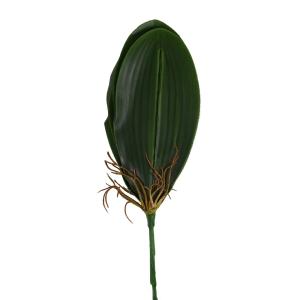 プレゼント 花 ギフト 造花 造花 オーキッドリーフ 葉5枚-束 胡蝶蘭の葉 leaf フラワー