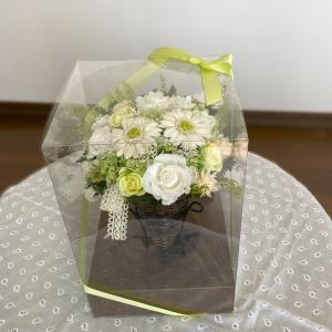 クリアケース　大