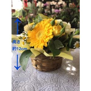 送料無料 おまかせミニミニアレンジ(イエロー系)の詳細画像2