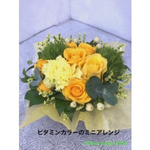 送料無料 おまかせミニミニアレンジ(イエロー系)の詳細画像5