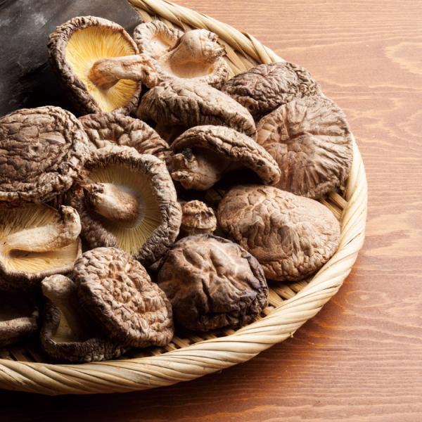 寿力物産 九州産 原木 どんこ椎茸 SPD-50  ギフト プレゼント 贈り物 贈答 包装 熨斗 の...