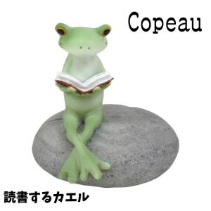 Copeau コポー 読書するカエル｜flppr