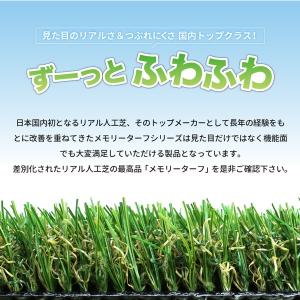 ユニオンビズ メモリーターフ 25mm 巾:1...の詳細画像1