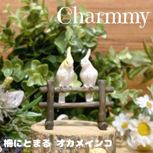 Charmmy チャーミー 柵にとまる オカメインコ