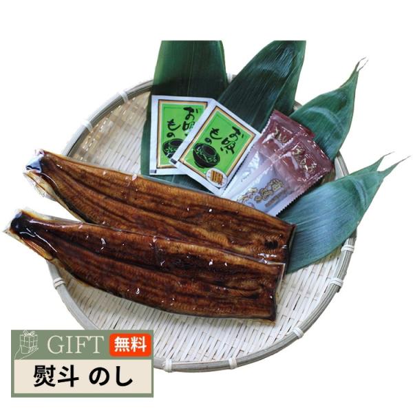 浜松 浜名湖産 うなぎ蒲焼 長焼き 2尾 2025KMJ01 ギフト プレゼント 贈り物 贈答 熨斗...