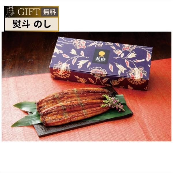 鰻楽 うなぎ蒲焼 特大 2尾 ギフト プレゼント 贈り物 贈答 包装 熨斗 のし 無料 【Aギフト】