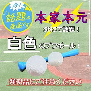 Polaristure プワボール プアボール...の詳細画像1