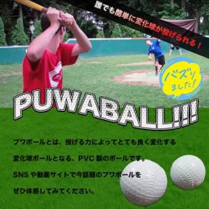 Polaristure プワボール プアボール...の詳細画像3