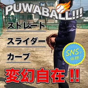 Polaristure プワボール プアボール...の詳細画像4