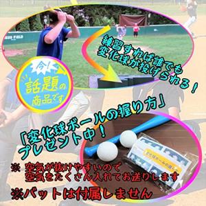Polaristure プワボール プアボール...の詳細画像5
