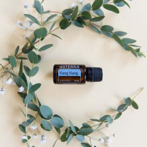 doTERRA ドテラ イランイラン 15mL...の詳細画像3