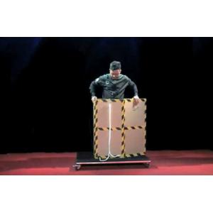 ニューフローティングボックス 予約販売品の詳細画像3