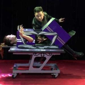 セクションイリュージョン　予約販売品