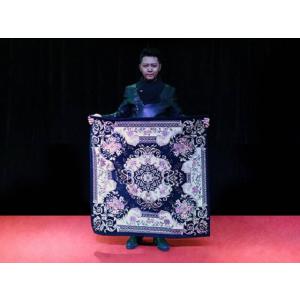 インビジブルチェアー 予約販売品の詳細画像4