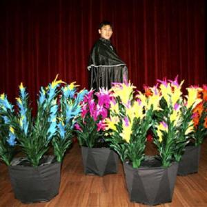 フラワーポットフロムケープ　予約販売品