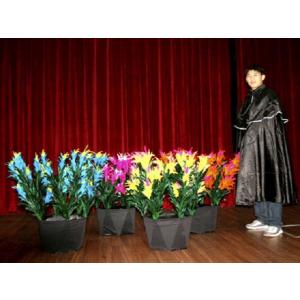フラワーポットフロムケープ 予約販売品の詳細画像1