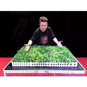 ブルーミングフラワーオンテーブル 予約販売品の詳細画像1