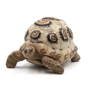 PET BANK LEOPARD TORTOISE　（ペットバンク ソマリアヒョウモンリクガメ） 【AS】｜flyers