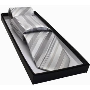 プレゼントシルバー/グレー/フォーマル/ポケットチーフ・ネクタイ礼装