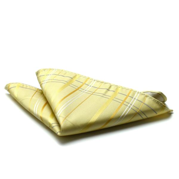 プレゼントポケットチーフ HUGO VALENTINO シルクジャガードポケットチーフpo-type...