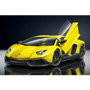 プラモデル 模型 ザ・スーパーカー No.10 1/24 '13 ランボルギーニ アヴェンタドール 50°アニバサリオ Lamborghini Aventador アオシマ 5982｜flyingsquad