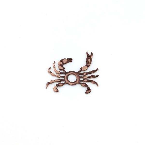 Moeka crab legs and claws クラブボディとレッグ　蟹カニ