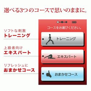 家庭用EMSマシン イトー STYLIFT(ス...の詳細画像4