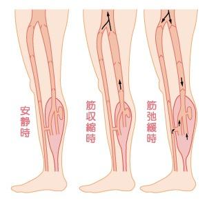 フィジカルメドマー PM-8000 パンツセットの詳細画像5