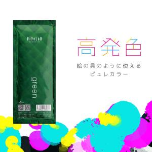 hoyu（ホーユー） プロフェッショナル プロマスター ピグメント