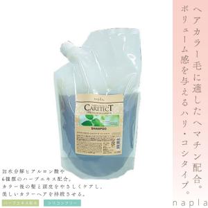 CARETECT HB 追跡あり ナプラ ケアテクトHBカラーSタイプ お試しセット