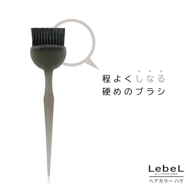 ルベル ヘアカラーハケ 黒 パーマ カラー ハケ ヘアダイブラシ 硬め ヘアブラシ 固め ブラック ...