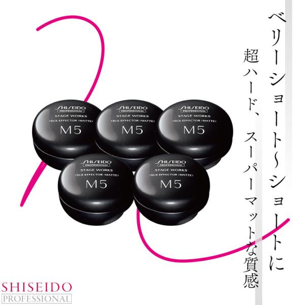 ■5個セット■資生堂 ステージワークス トゥルーエフェクター マット 80g 資生堂 プロフェッショ...