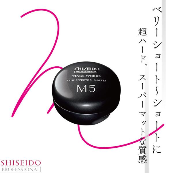 資生堂 ステージワークス トゥルーエフェクター マット 80g 資生堂 プロフェッショナル ヘアワッ...