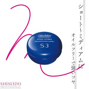 ステージワークス トゥルーエフェクター マット A Amazon.co.jp: 資生堂プロフェッショナルステージワークス
