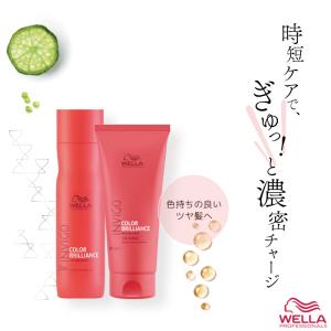 ウエラ プロフェッショナルケア カラーモーション＋ アメジスト