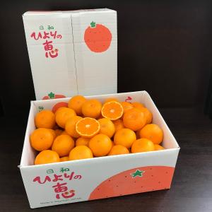 ひよりの恵 日和の恵 長崎県産 原口早生みかん 西海みかん 伊木力みかん 御贈答好適品です。