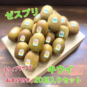 ゼスプリ ニュージーランド産キウィーフルーツ キウィーブラザーズおまけつき