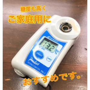 長崎県 西海市産 越冬完熟せとか 約3kg 西...の詳細画像4
