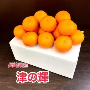 津之輝 津の輝 つのかがやき 長崎県産 数量限定 西海みかん ご家庭用はもちろんギフトにもお使いください。