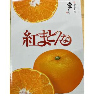 紅まどんな L〜２Ｌサイズ(15〜12玉)3kg前後 JAえひめ中央 愛媛県産