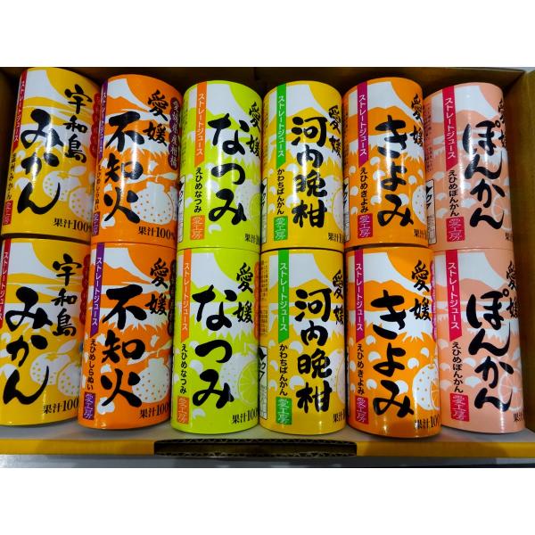 愛媛県産 柑橘ジュース 6種詰め合わせ 125ml×12本セット 愛工房 | カートカン みかん ぽ...
