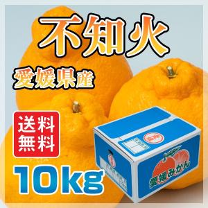 愛媛県産不知火10ｋｇしらぬい（デコポンと同品種）柑橘手で剥いて食べられる　規格外　(M2)